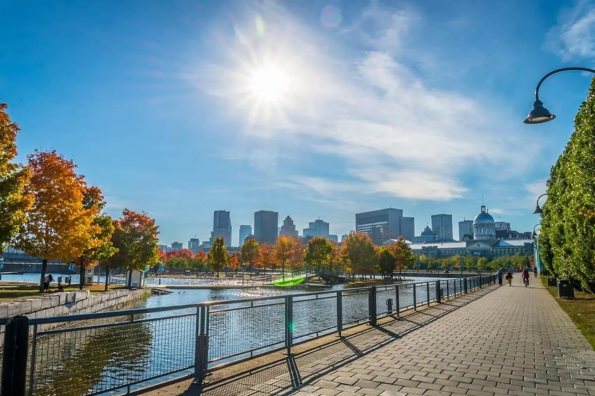 M11 The Lego Suite 2Brsofabed In Prime Location Montreal 0*,  Canada